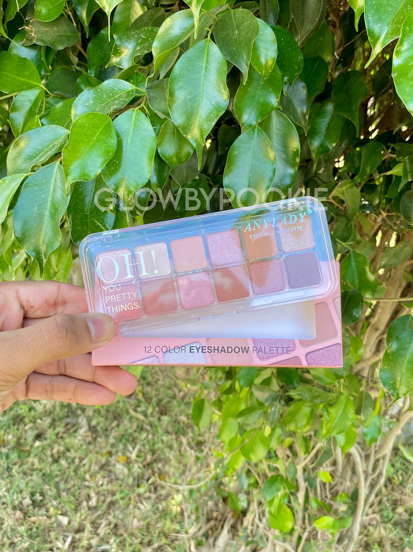 Anylady 12 Colors Eyeshadow Palette