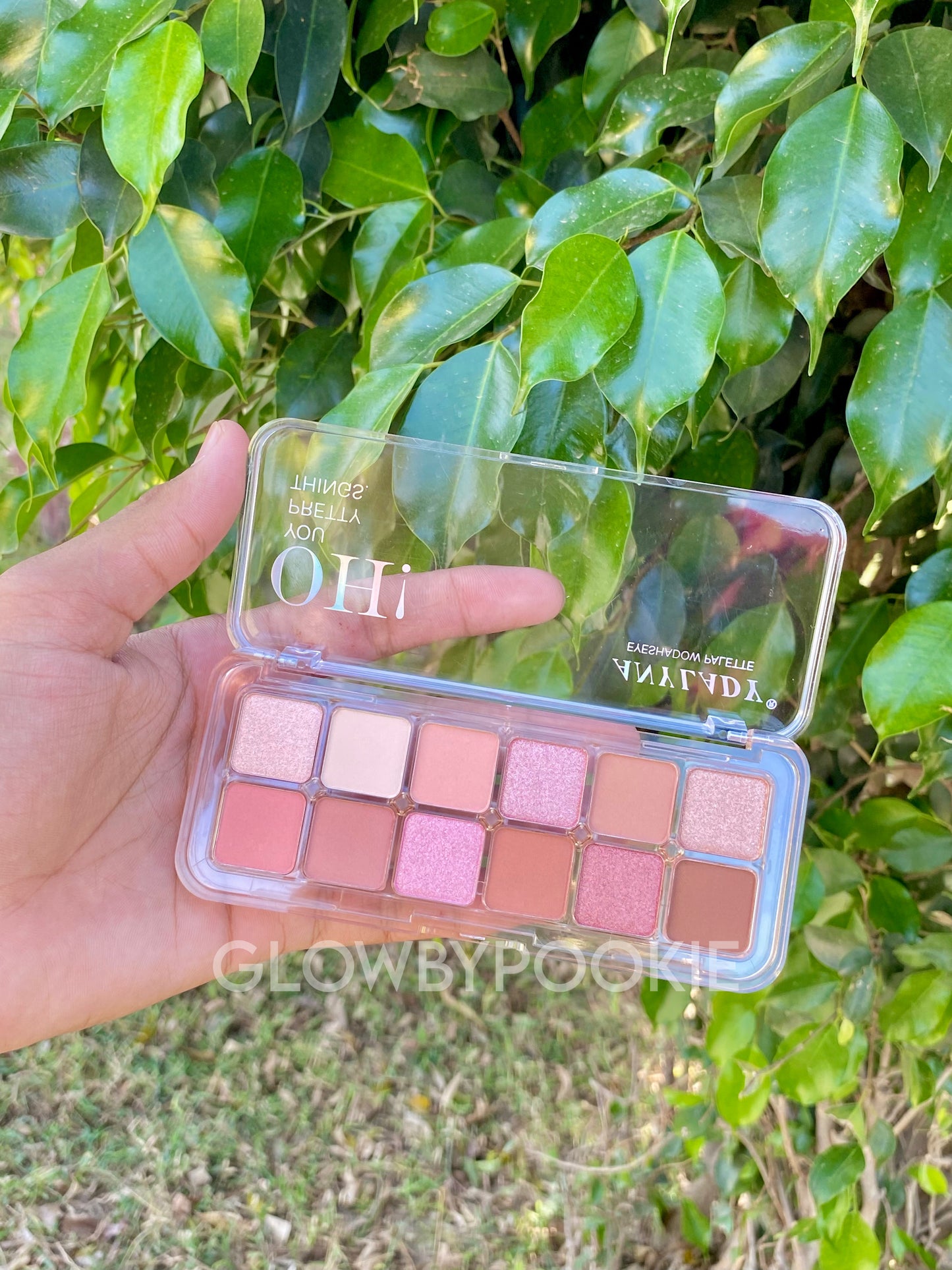 Anylady 12 Colors Eyeshadow Palette